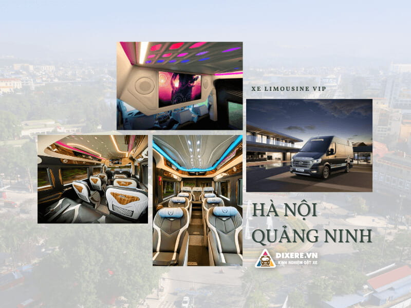 Xe limousine Hà Nội Quảng Ninh cao cấp 2023