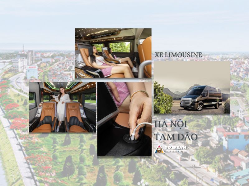 Xe Limousine Hà Nội Tam Đảo | #5 Nhà Xe Chất Lượng 2024