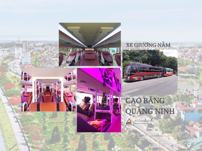 Xe Cao Bằng Quảng Ninh | #5 Nhà Xe Chất Lượng Nhất 2024