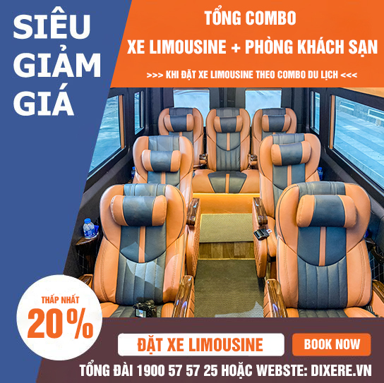 GiẢm GiÁ 20%