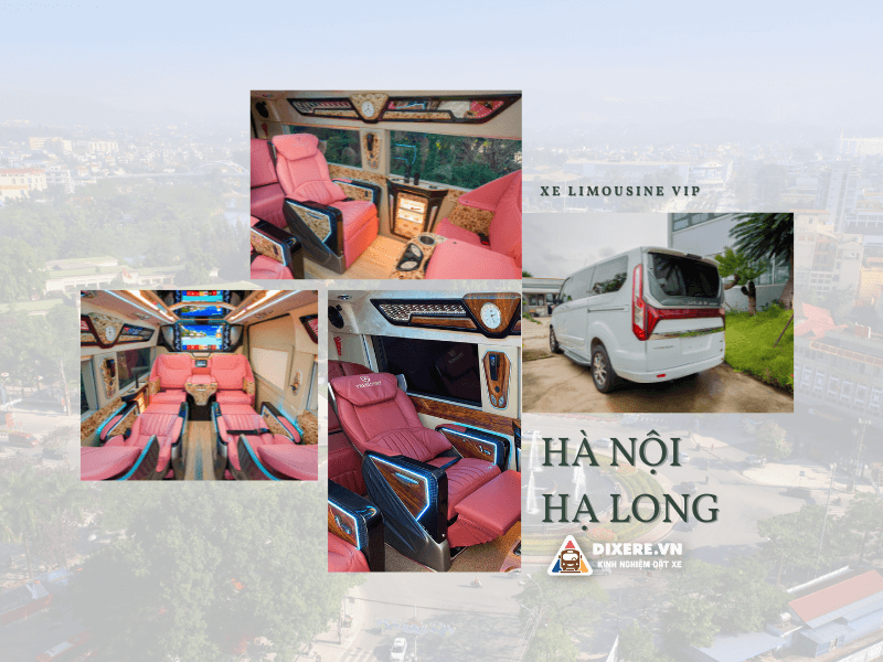 Xe Limousine Hà Nội Hạ Long được rất nhiều khách hàng ưa thích và lựa chọn