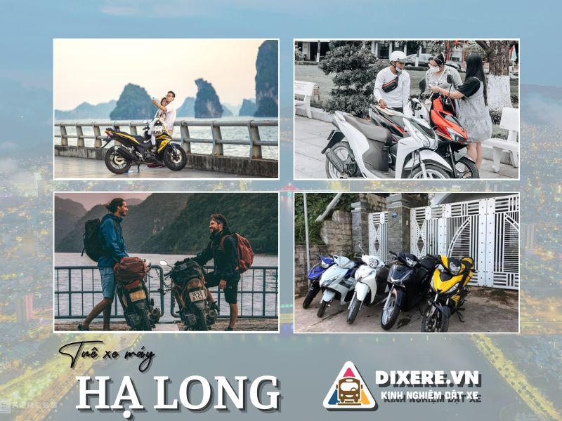 Dịch vụ cho thuê xe máy tại Hạ Long chất lượng