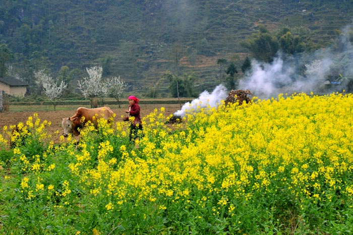 hanoi to ha giang