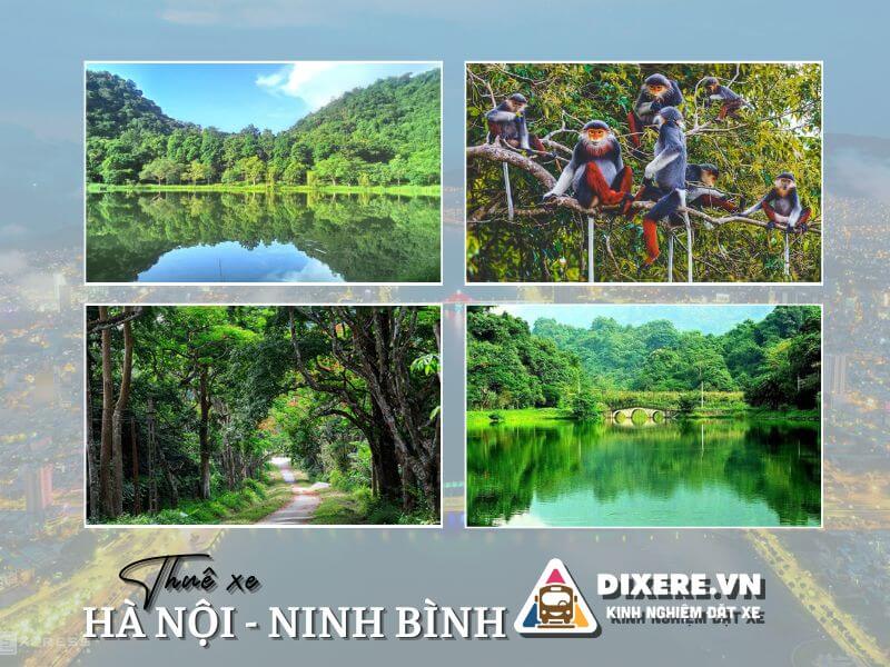 Vườn quốc gia Cúc Phương - Khu du lịch nổi tiếng tại Ninh Bình